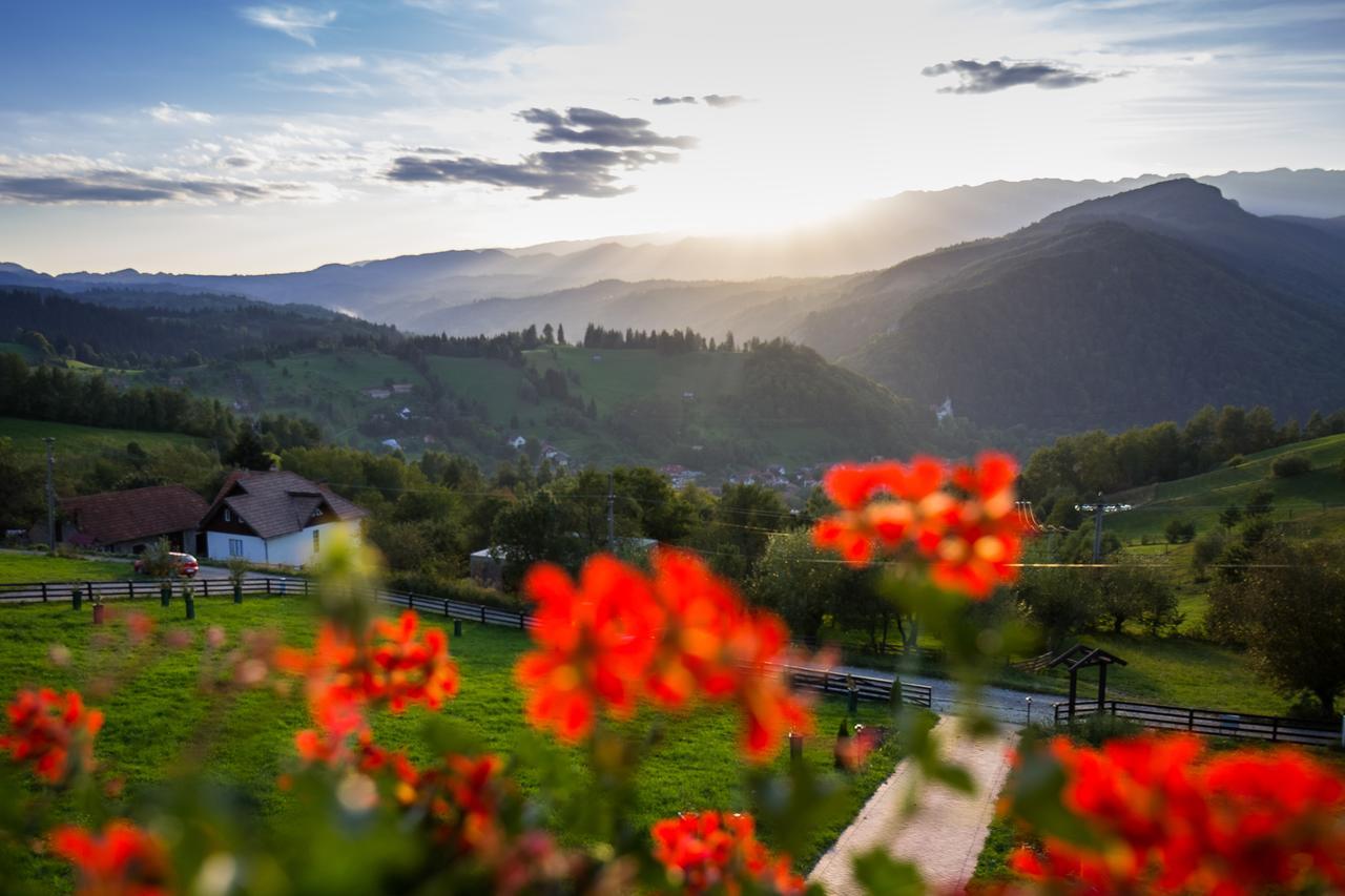 Bran Monte Crai Chalet Экстерьер фото