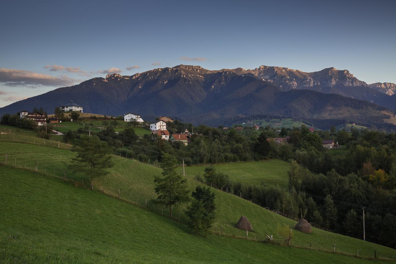 Bran Monte Crai Chalet Экстерьер фото