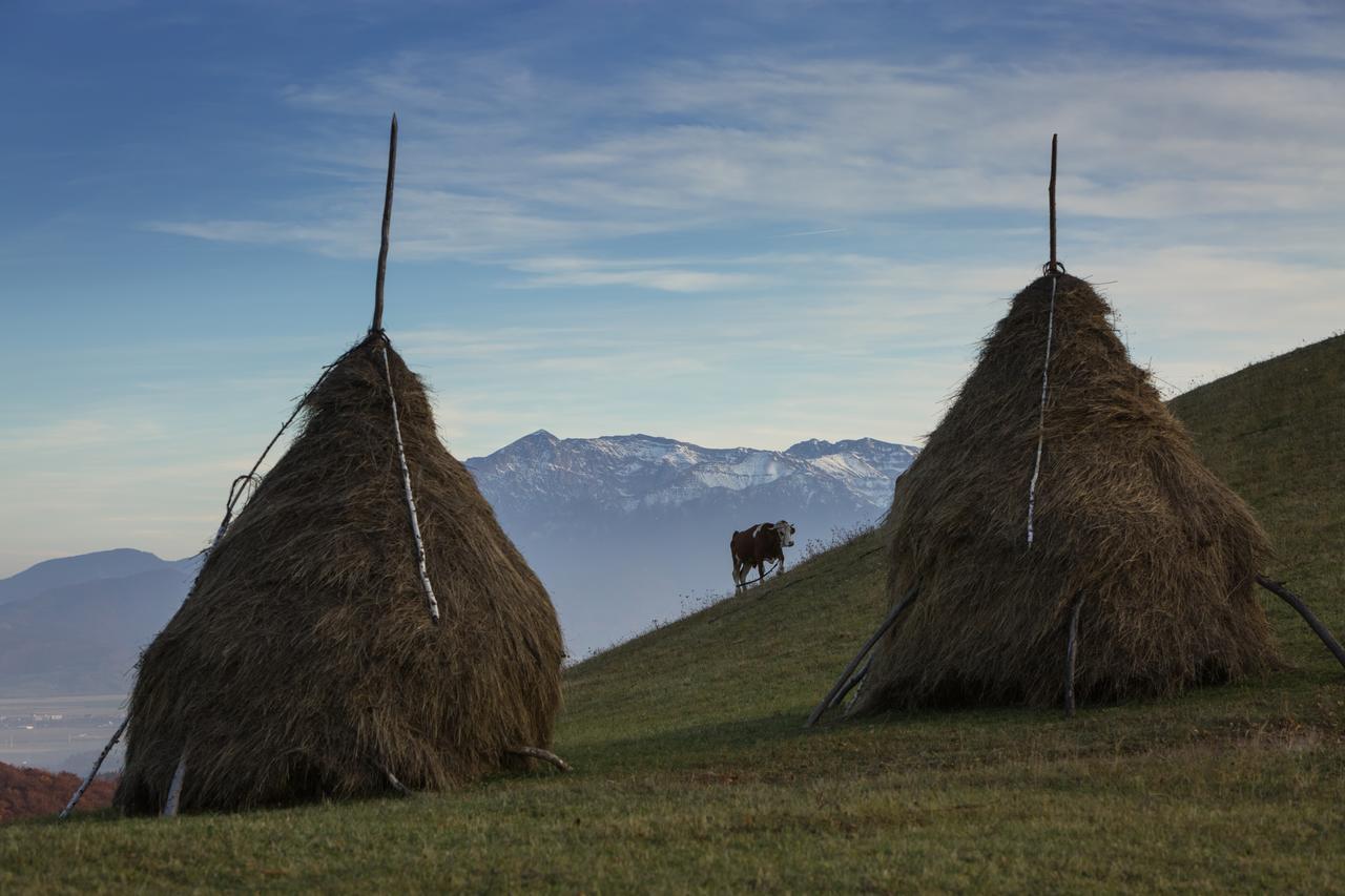 Bran Monte Crai Chalet Экстерьер фото