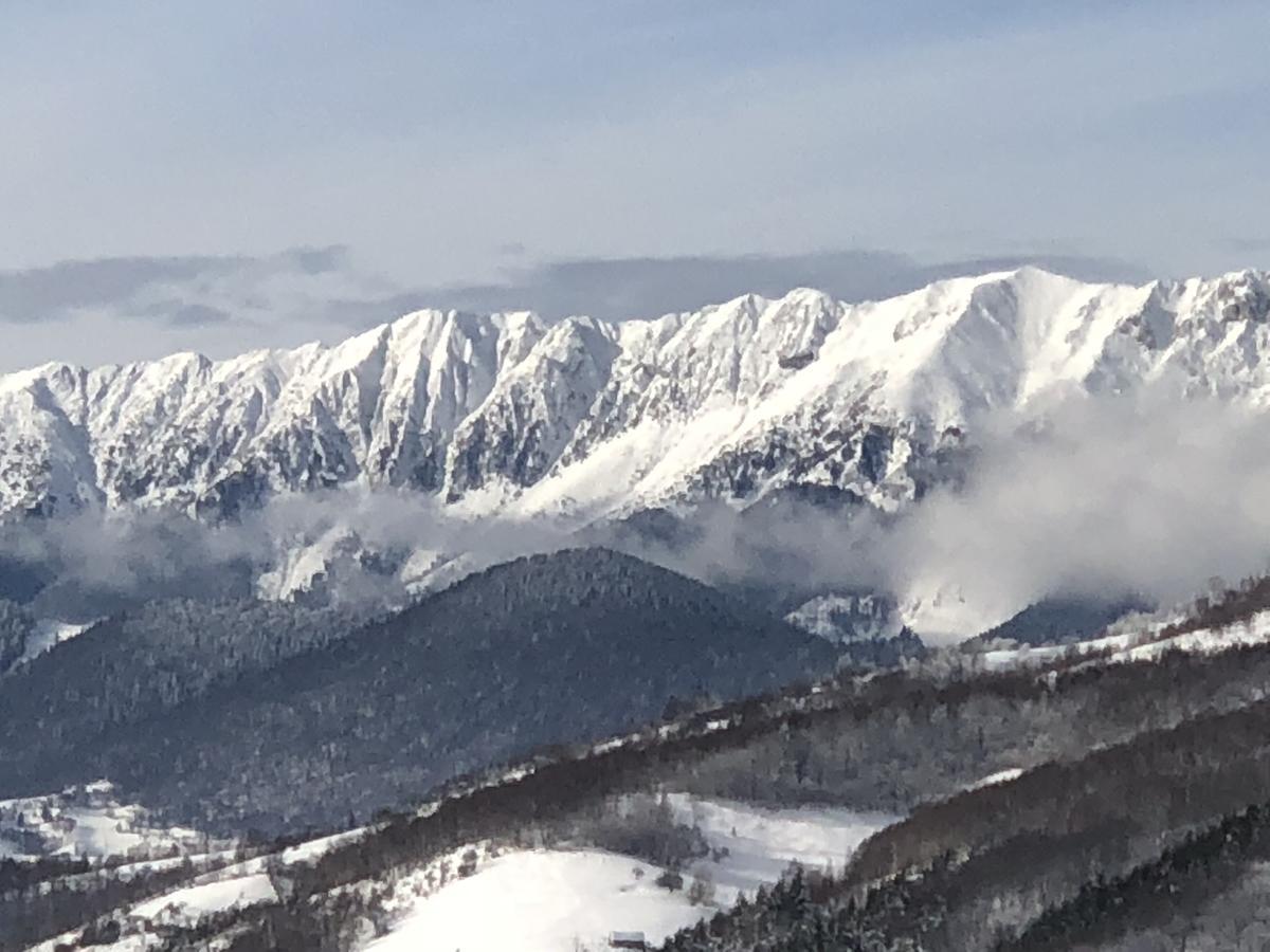 Bran Monte Crai Chalet Экстерьер фото