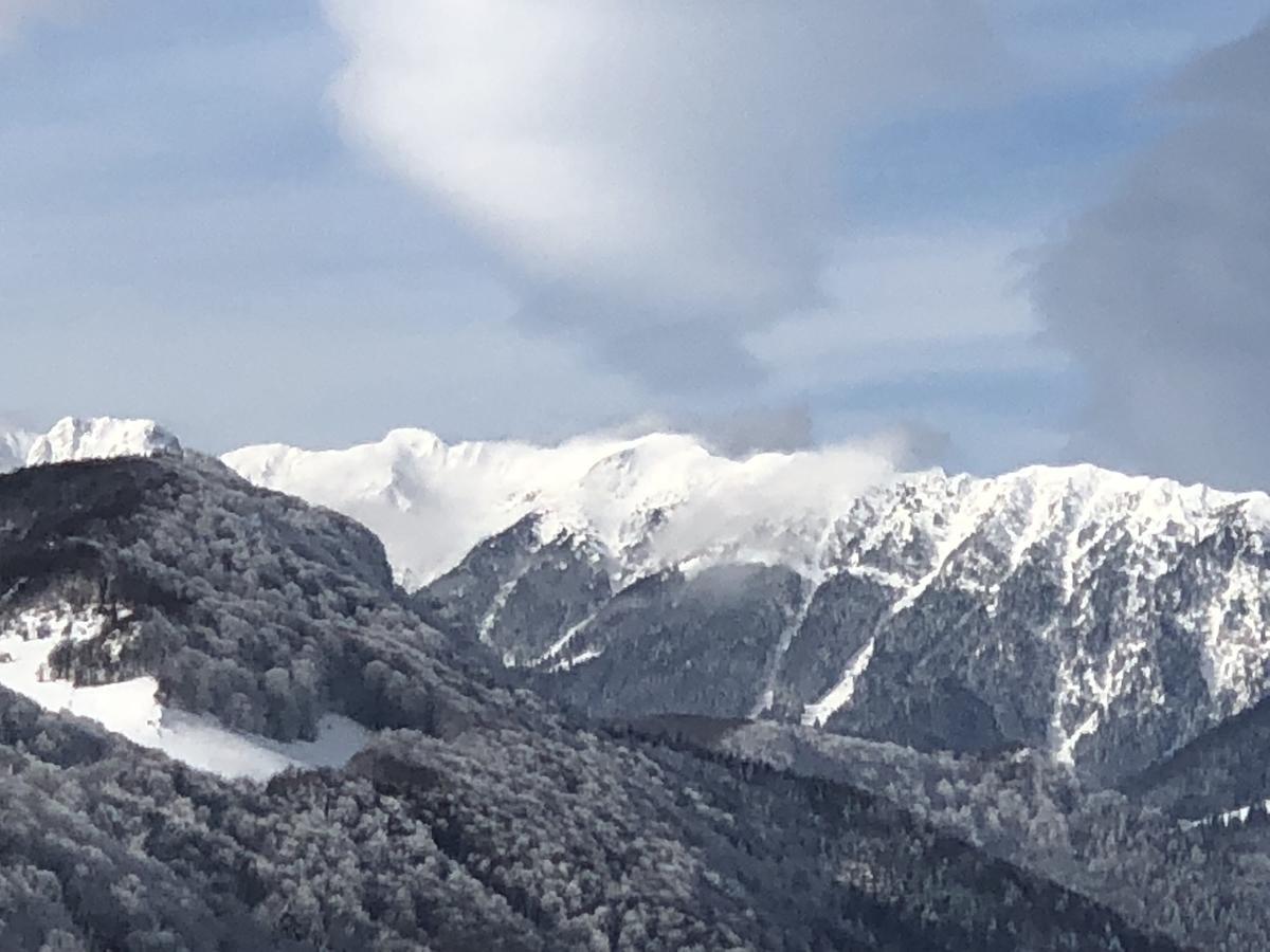Bran Monte Crai Chalet Экстерьер фото